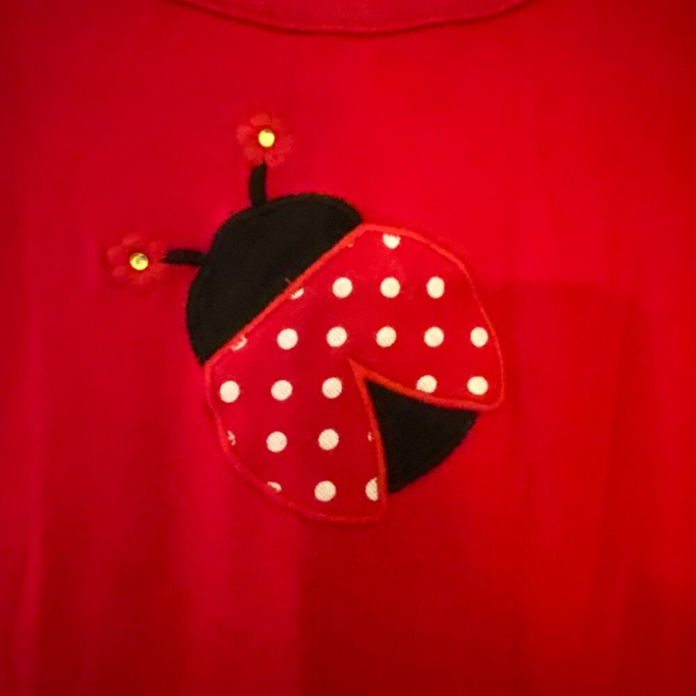 Gymboree Red Dress with Ladybug Design - Size 9 - Picture 6 of 6
